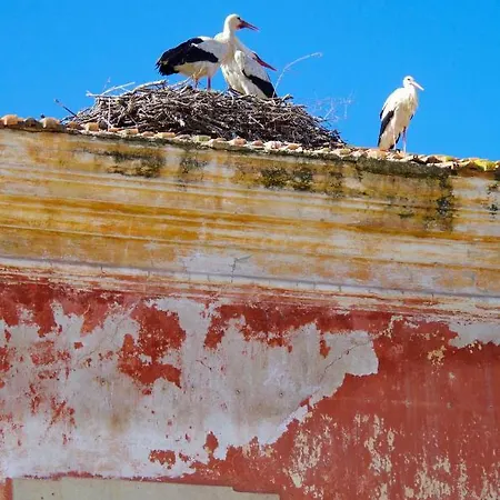 Casa Margarida Azul 度假居 西尔韦斯