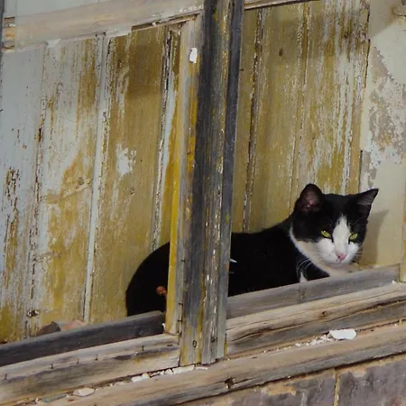 Casa Margarida Azul *